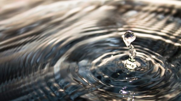 Livet er opstået i vand - videnskaben på besøg 2016