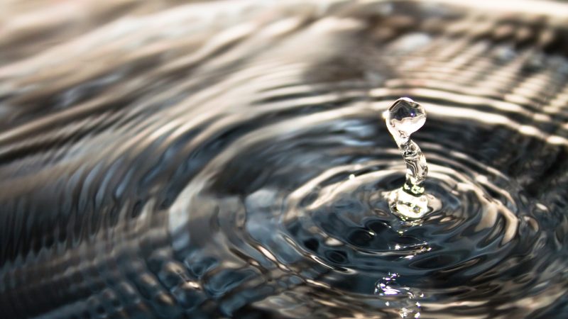 Livet er opstået i vand - videnskaben på besøg 2016