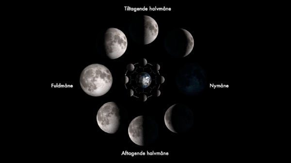 Skærmbillede 2021-06-01 kl. 10.15.28