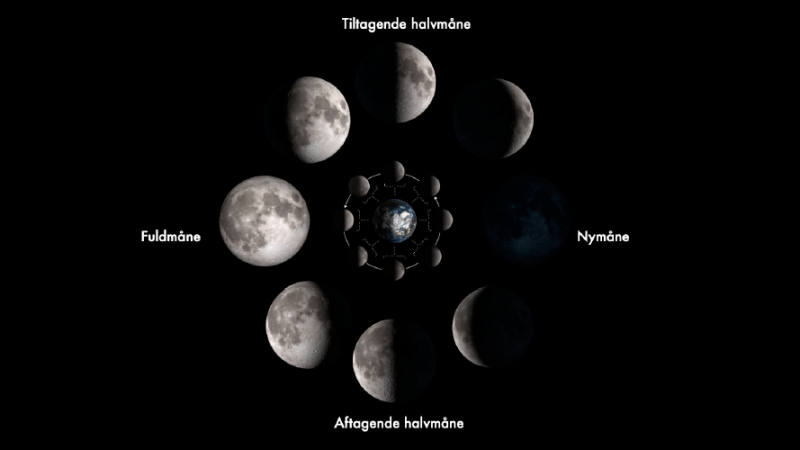 Skærmbillede 2021-06-01 kl. 10.15.28