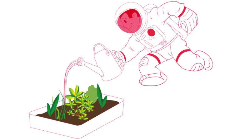 Landbrug i rummet (Moon Camp) Undervisningsmateriale Esero