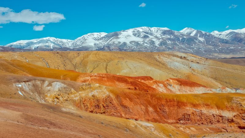 Plantedyrkning i SpaceX-rumkolonien