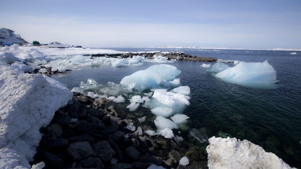 Isskolen - om is og klimaforandringer for 6-10 klassetrin