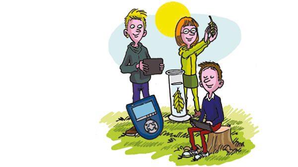 hvilken-straaling-paavirker-fotosyntesen