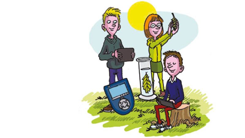 hvilken-straaling-paavirker-fotosyntesen