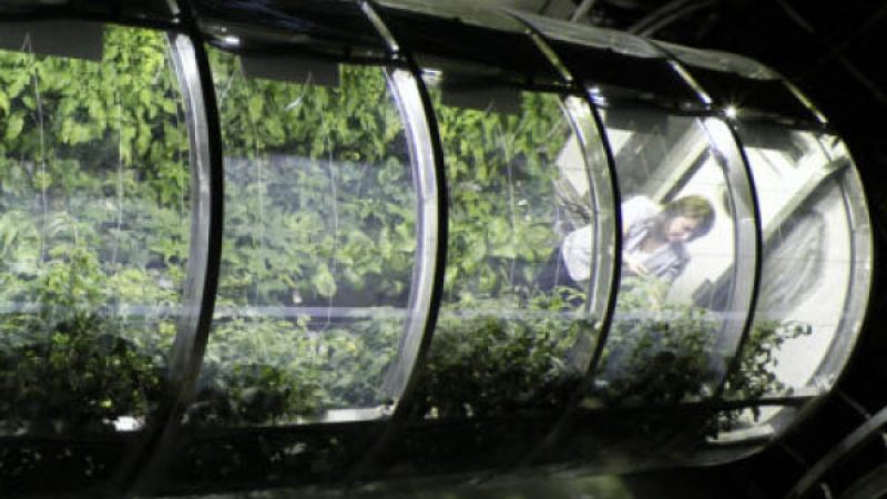 Lunar, Martian Greenhouses Designed to Mimic Those on Earth