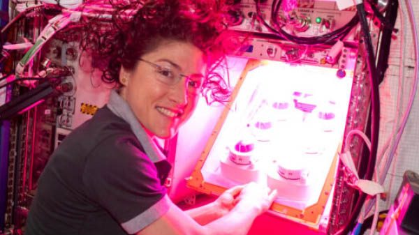 NASA Testing Method to Grow Bigger Plants in Space